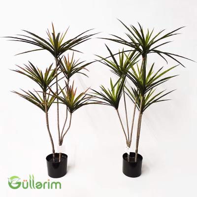 Süni Dracena Palma – Hündür Dekorativ Yaşıl Bitki