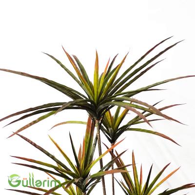 Süni Dracena Palma – Hündür Dekorativ Yaşıl Bitki