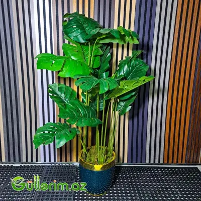 Süni Monstera Bitkisi