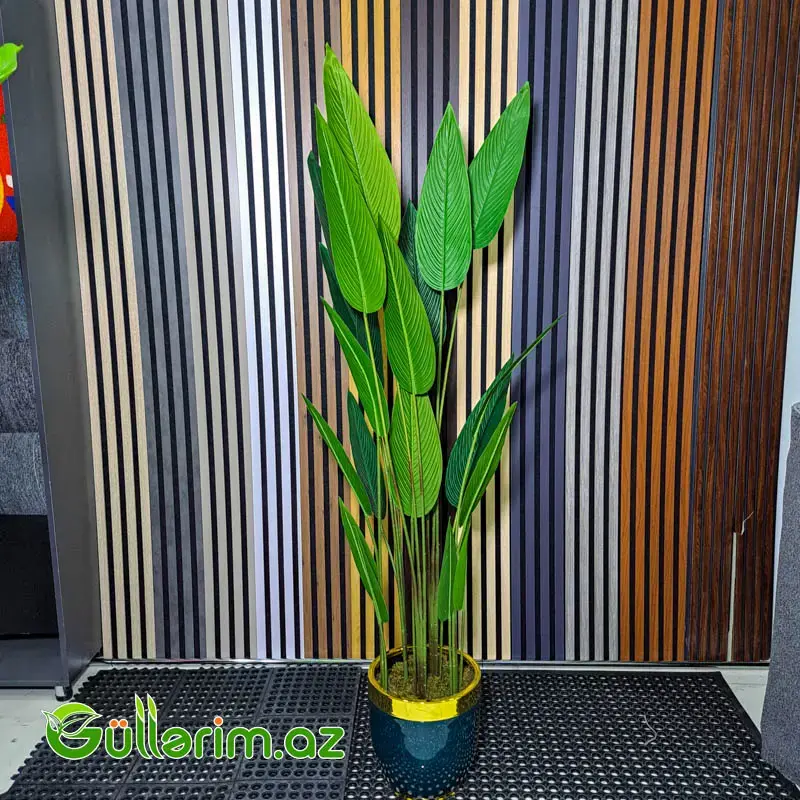 Süni Strelitsiya (Cənnət Quşu Bitkisi)