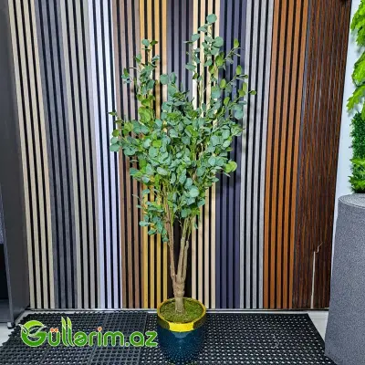 Süni Evkalipt Ağacı