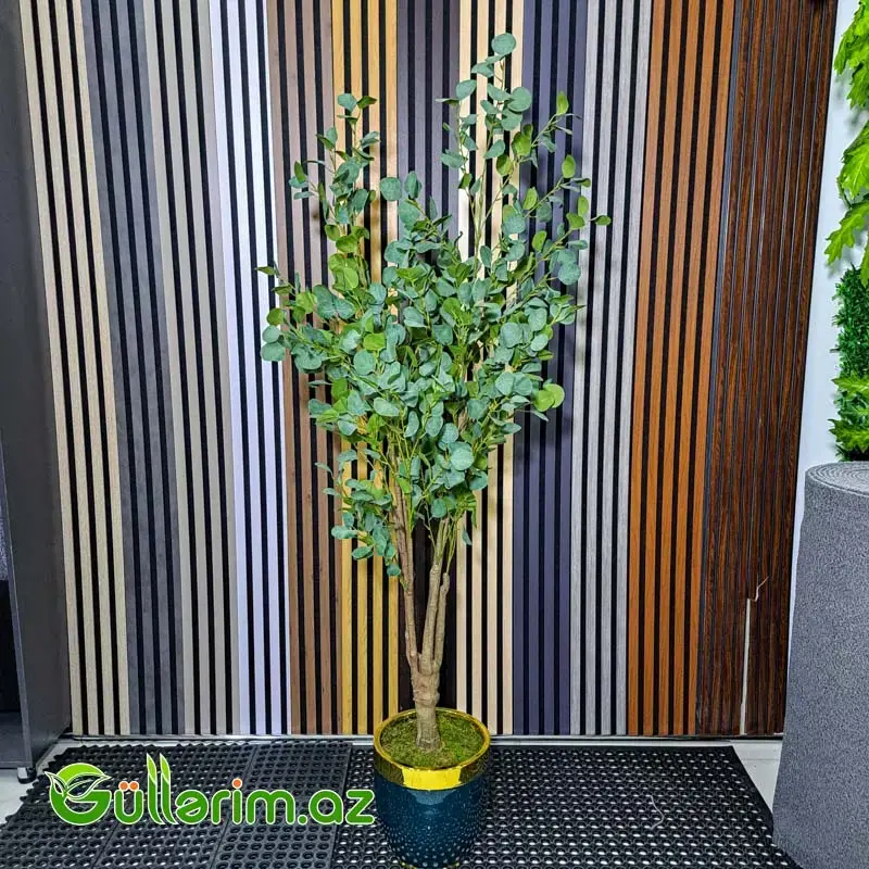 Süni Evkalipt Ağacı