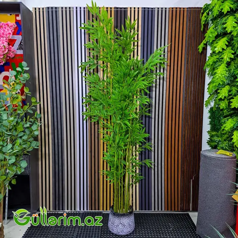 Süni Bambuk Bitkisi