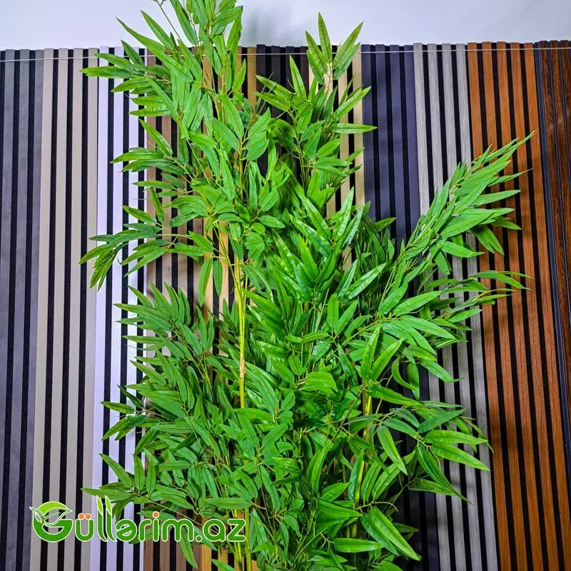 Süni Bambuk Bitkisi