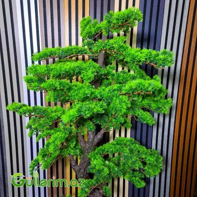 Süni Bonsai Ağacı (Yapon üslublu)