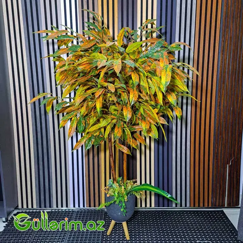 Süni Kroton Bitkisi