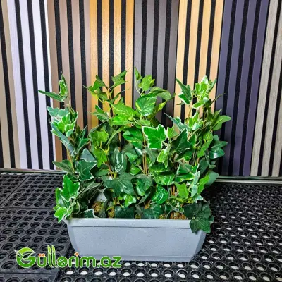 Süni bitki kompozisiya