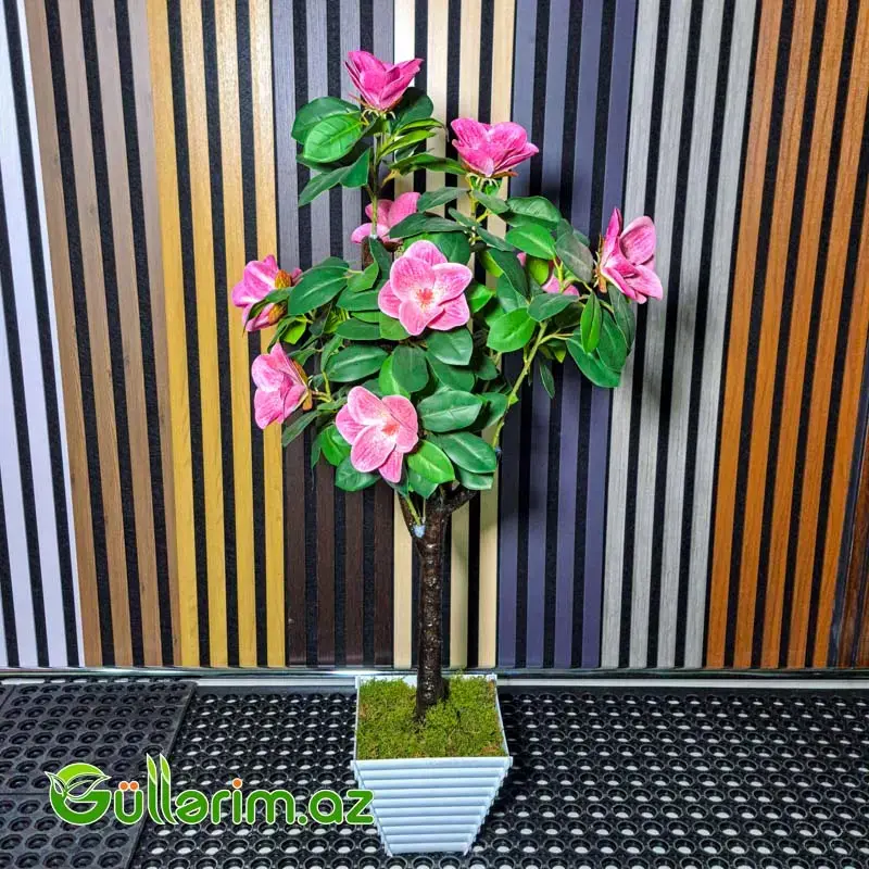 Süni Kamelya (Camellia)