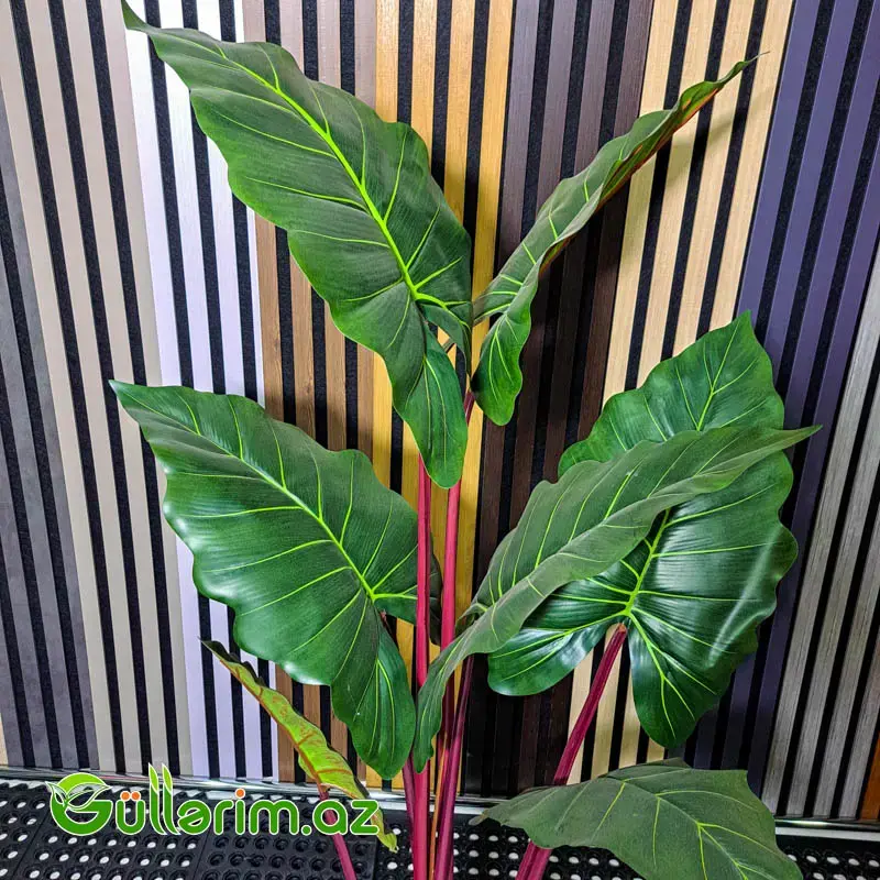 Süni Alocasia polly (African Mask Plant)