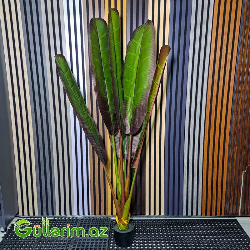 Süni Banana Bitkisi (Artificial Banana Plant)