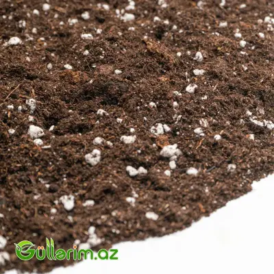 SkarMiks Universal Torf Substratı 250L