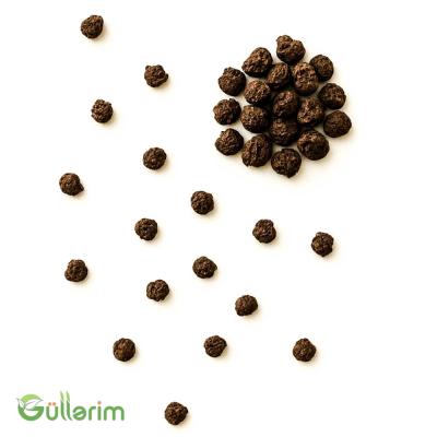Aslan qızı (Antirrhinum majus)